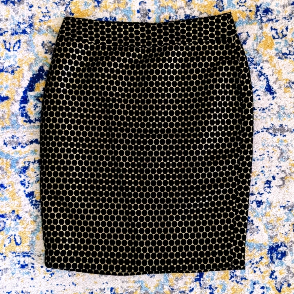 Ann Taylor Mini Skirt